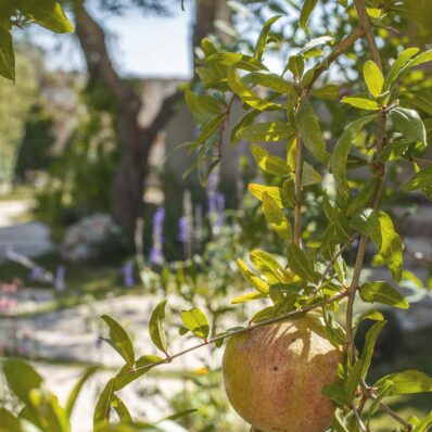 Cosa fare nelle vicinanze